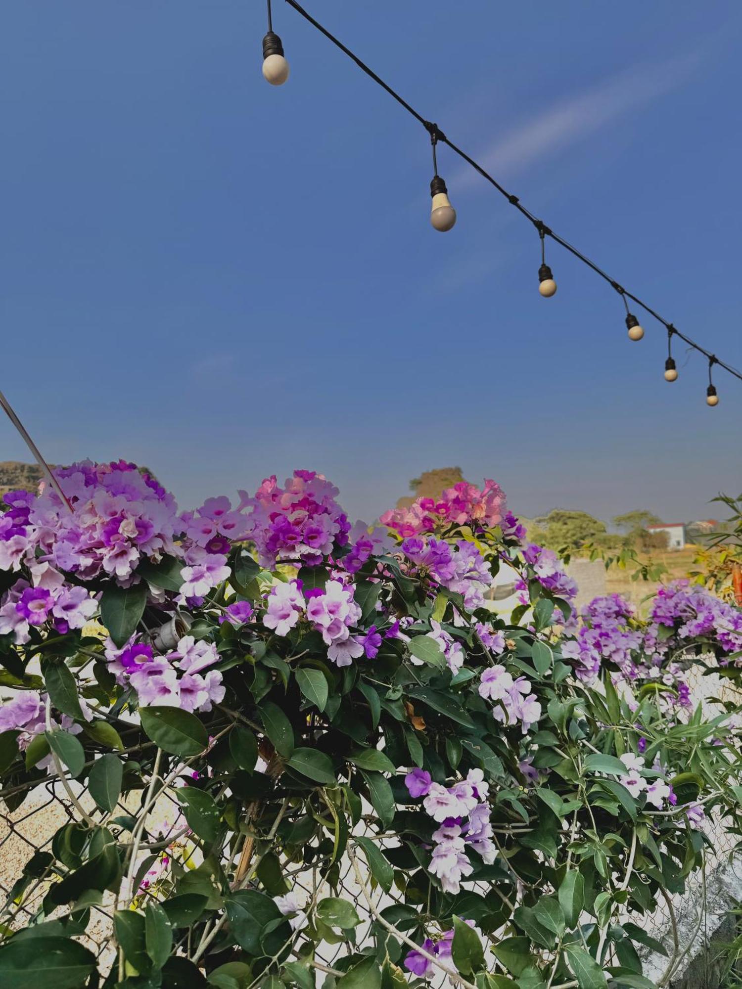 Отель Rosa Garden Ниньбинь Экстерьер фото
